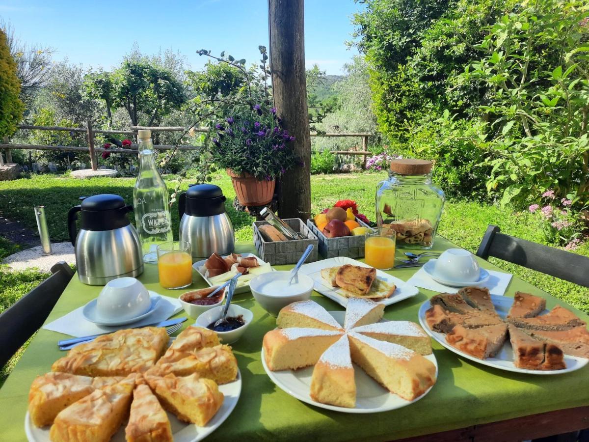 Agriturismo Le Colline Di Capalbio Zewnętrze zdjęcie