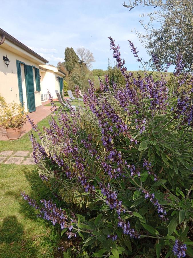 Agriturismo Le Colline Di Capalbio Zewnętrze zdjęcie