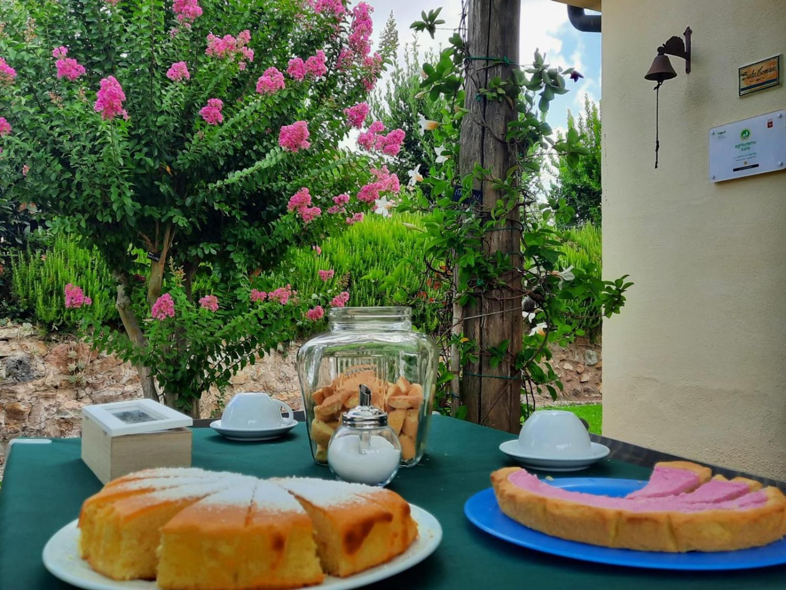 Agriturismo Le Colline Di Capalbio Zewnętrze zdjęcie
