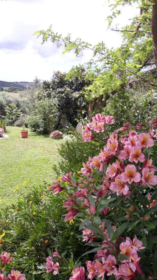 Agriturismo Le Colline Di Capalbio Zewnętrze zdjęcie