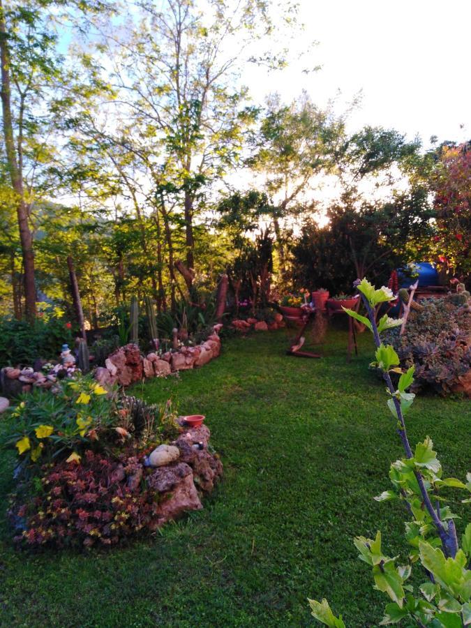 Agriturismo Le Colline Di Capalbio Zewnętrze zdjęcie