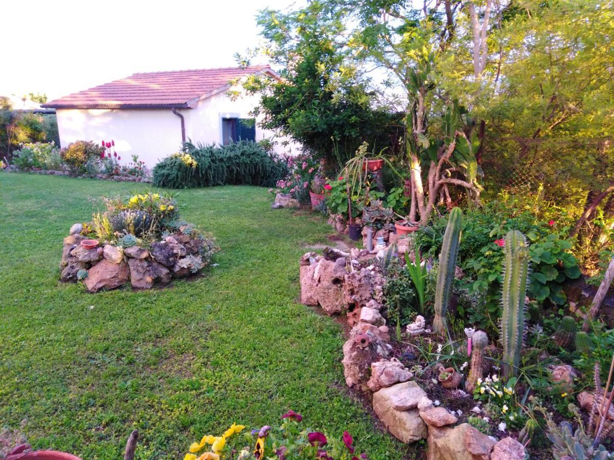 Agriturismo Le Colline Di Capalbio Zewnętrze zdjęcie